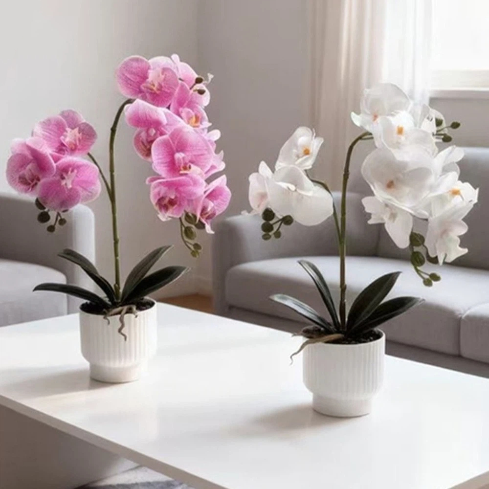 Orchid Phalaenopsis - Multi-Bloom Künstliche Schmetterlingsorchidee DIY Weißer Blumentopf