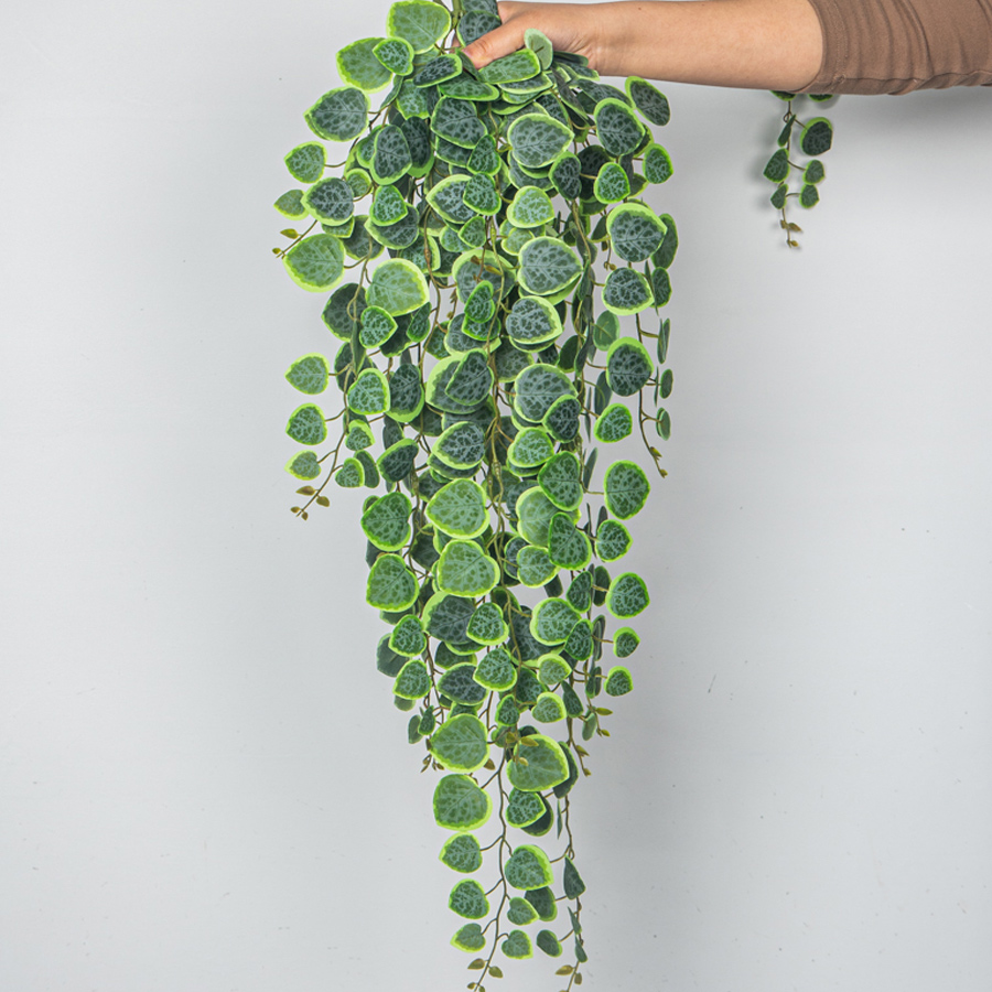 String Of Pearls Plant - 60–80 cm künstliche hängende Ranken, tropische