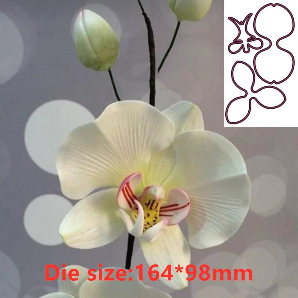 Orchid Phalaenopsis - Metall-Stanzformen mit Orchideenblüten für Scrapbooking, Stempel/Fotoalbum,