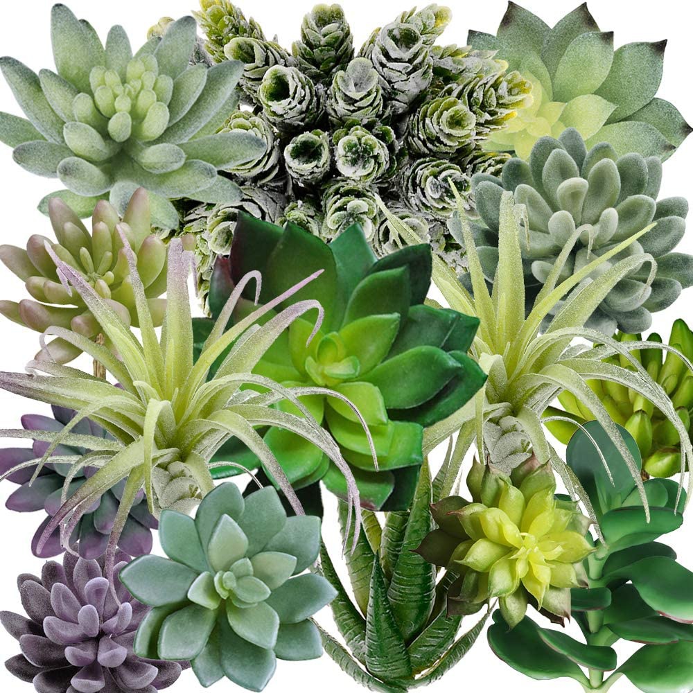 String Of Pearls Plant - 15er-Pack Sortierte Künstliche Sukkulenten Pflanzen Ohne
