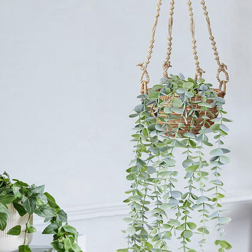 Künstliche Efeu- und Eukalyptu – String Of Pearls Plant Bewertung und Preis