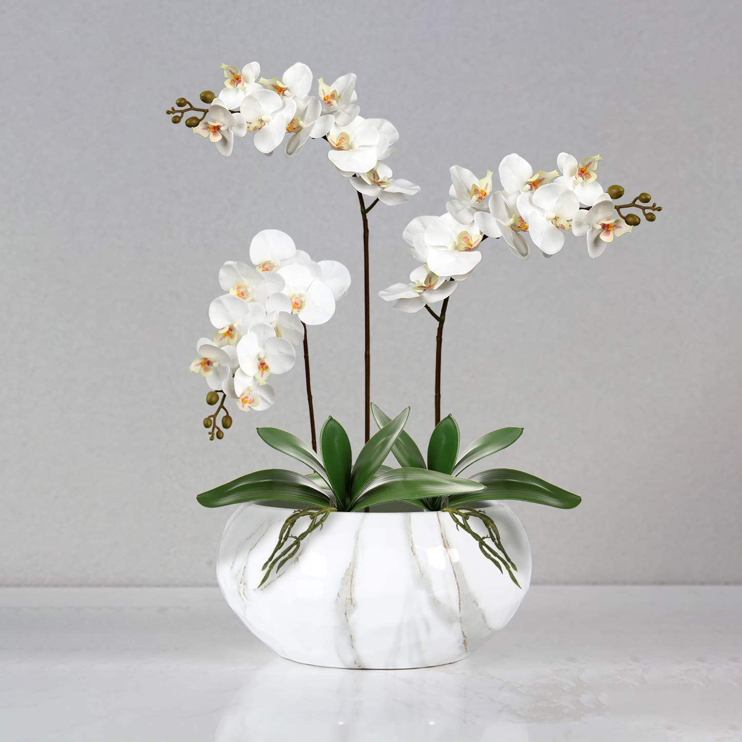 Künstliche Phalaenopsis Blätte – Orchid Phalaenopsis Bewertung und Preis