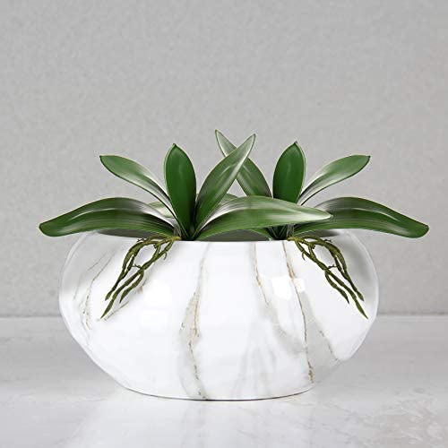 Künstliche Phalaenopsis Blätte – Orchid Phalaenopsis Bewertung und Preis