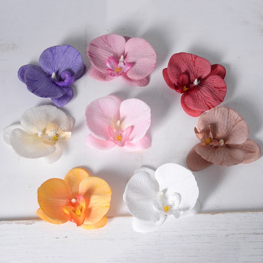 DIY Phalaenopsis Blütenkopf Ha – Orchid Phalaenopsis Bewertung und Preis