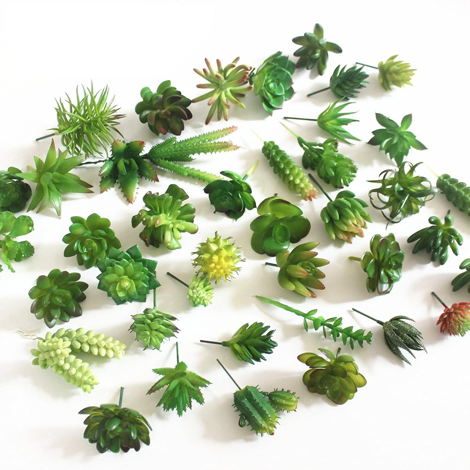 15 Stück künstliche Sukkulente – String Of Pearls Plant Bewertung und Preis