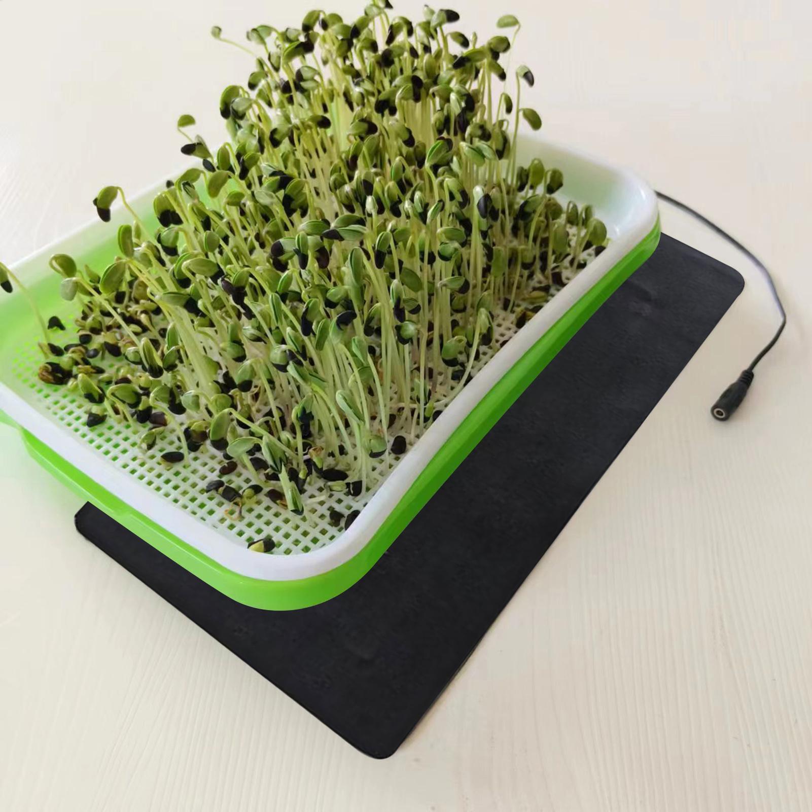 8,5W USB-Keimlingsheizmatten m – Plant Parenting Bewertung und Preis