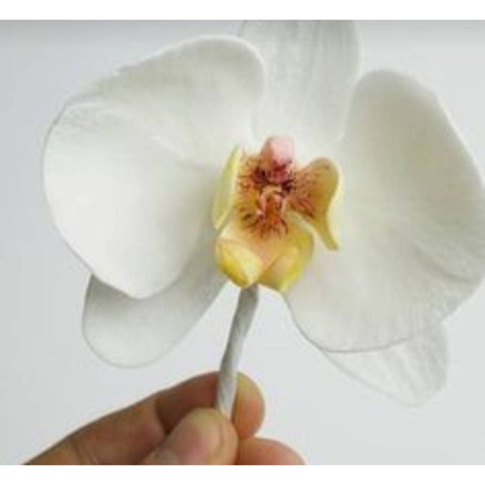 Metall-Stanzformen mit Orchide – Orchid Phalaenopsis Bewertung und Preis