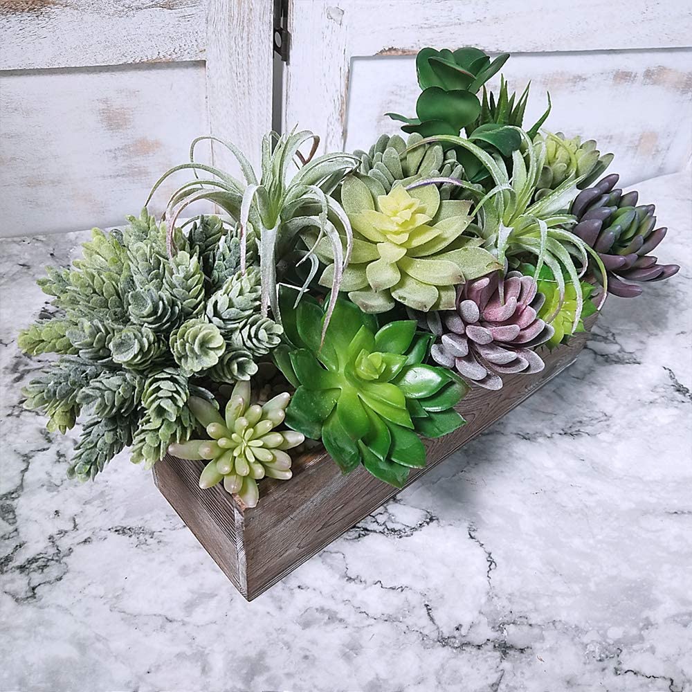 15er-Pack Sortierte Künstliche – String Of Pearls Plant Bewertung und Preis