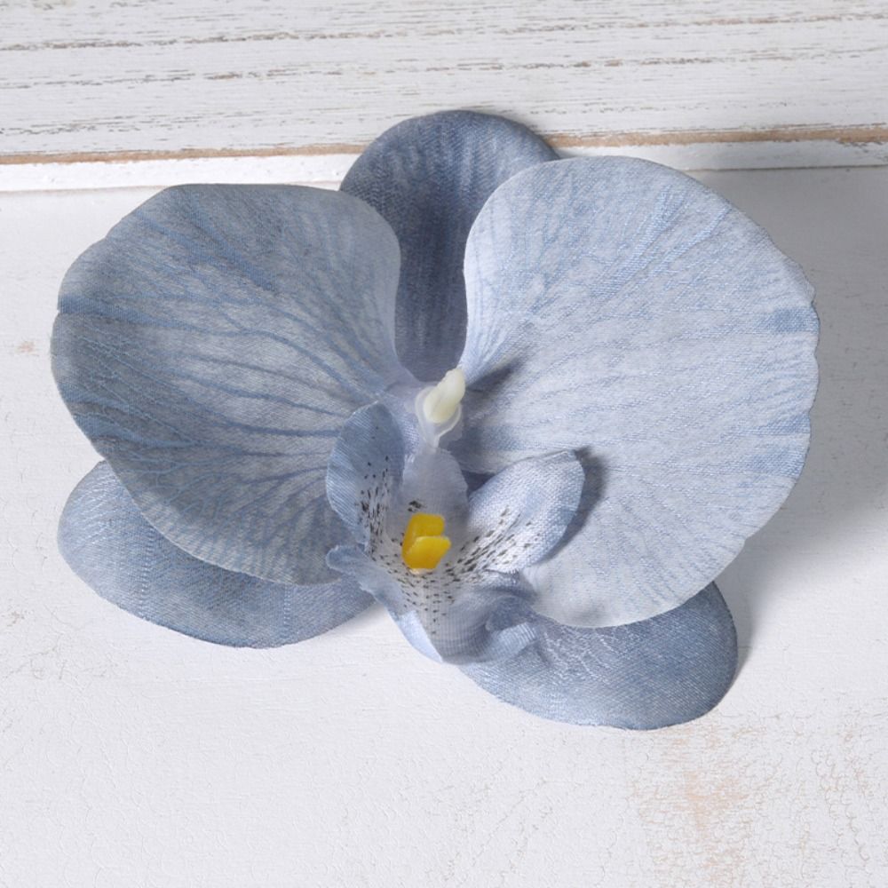DIY Phalaenopsis Blütenkopf 11 – Orchid Phalaenopsis Bewertung und Preis