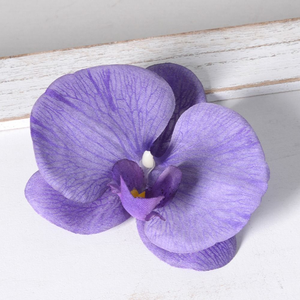 DIY Phalaenopsis Blütenkopf 11 – Orchid Phalaenopsis Bewertung und Preis