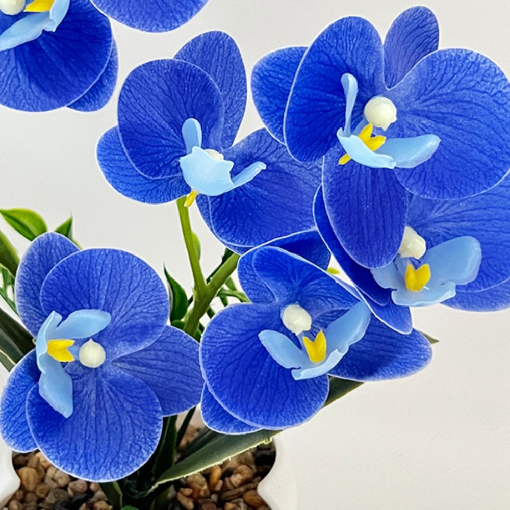 Multi-Bloom Künstliche Schmett – Orchid Phalaenopsis Bewertung und Preis