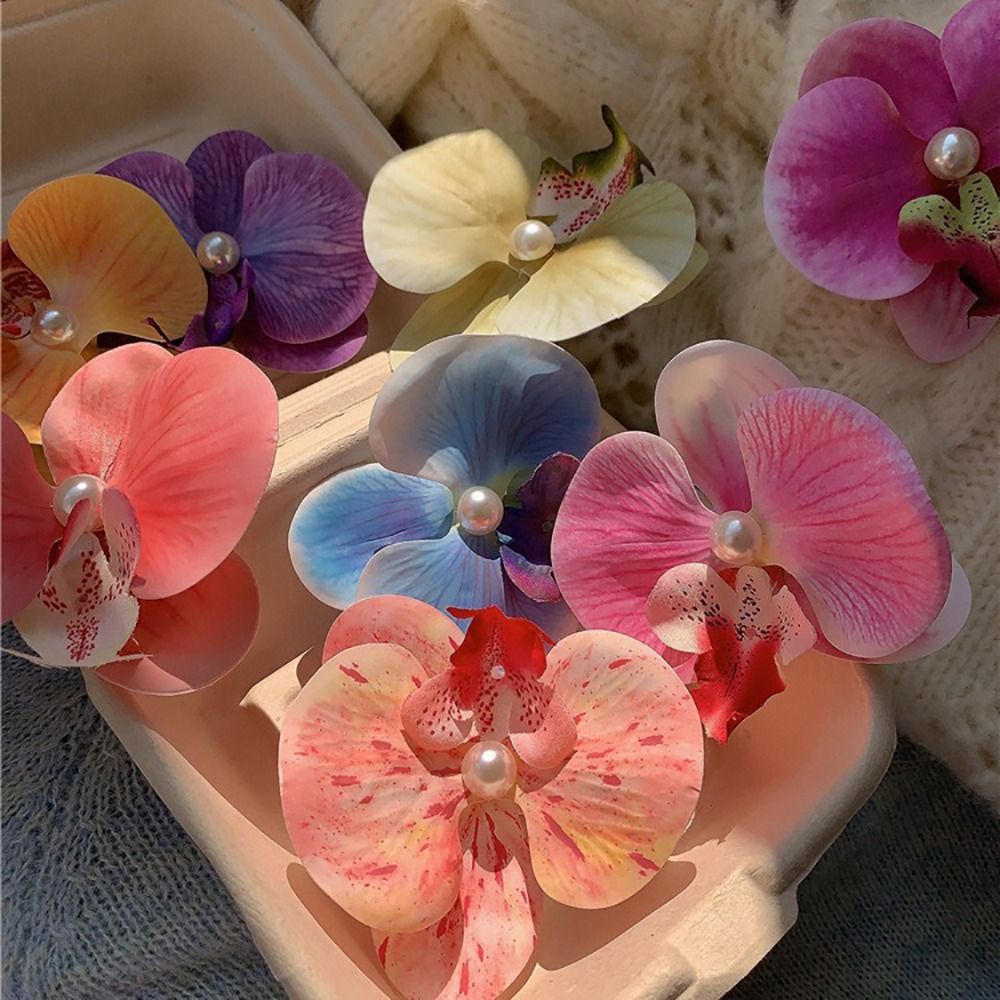 1 Stück Enten schnabel Clip Or – Orchid Phalaenopsis Bewertung und Preis