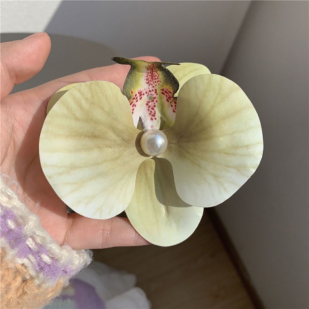 1 Stück Enten schnabel Clip Or – Orchid Phalaenopsis Bewertung und Preis
