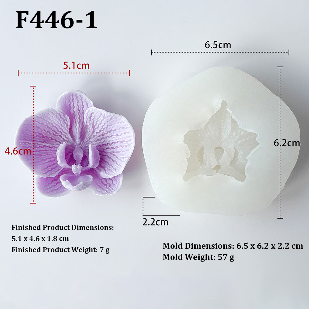 Phalaenopsis-Orchideen-Blumenf – Orchid Phalaenopsis Bewertung und Preis
