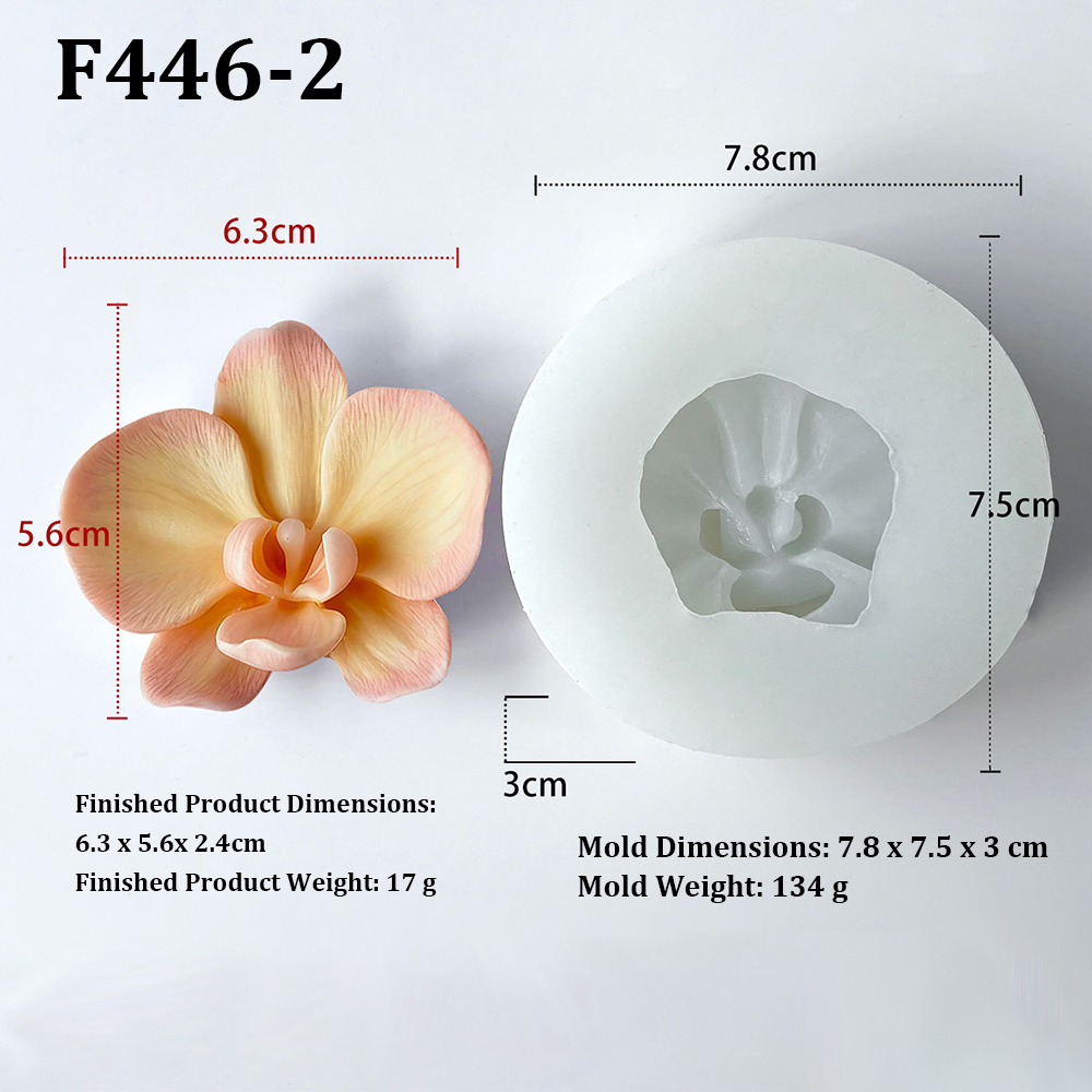 Phalaenopsis-Orchideen-Blumenf – Orchid Phalaenopsis Bewertung und Preis