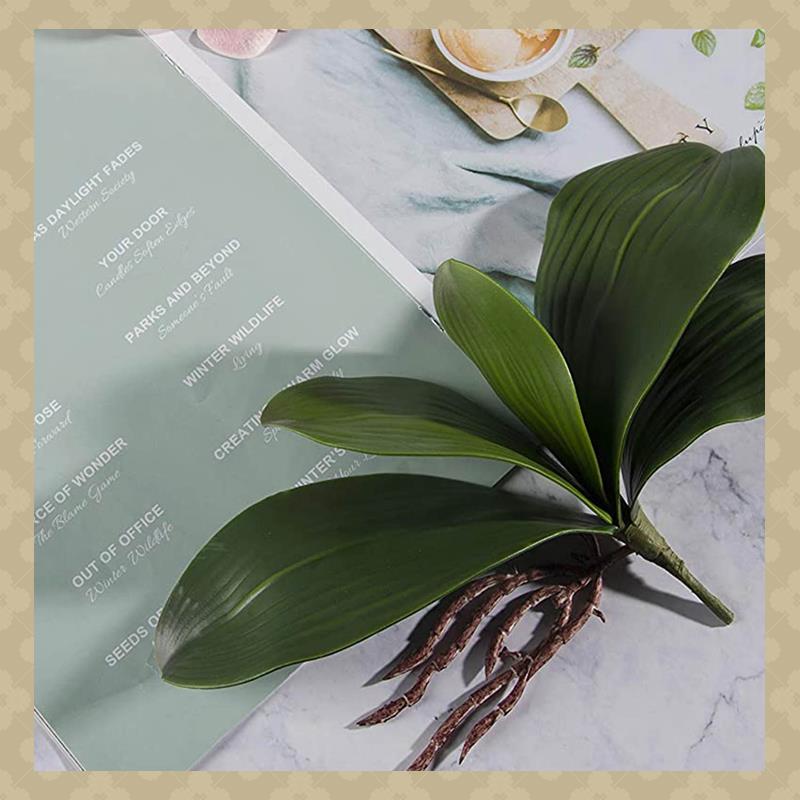 AB45 Phalaenopsis-Orchideenblä – Orchid Phalaenopsis Bewertung und Preis