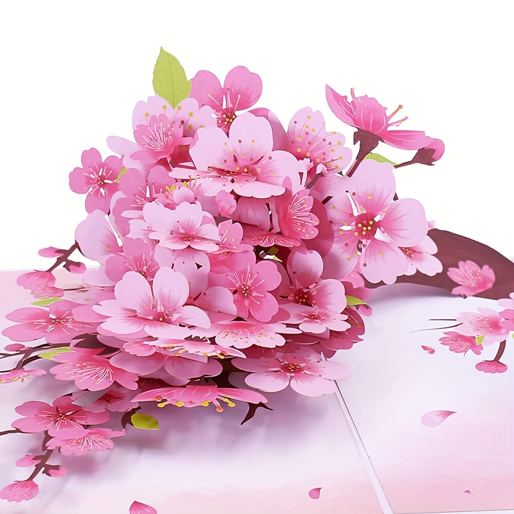 Cymbidium Orchideen Pop-up-Gru – Orchid Phalaenopsis Bewertung und Preis