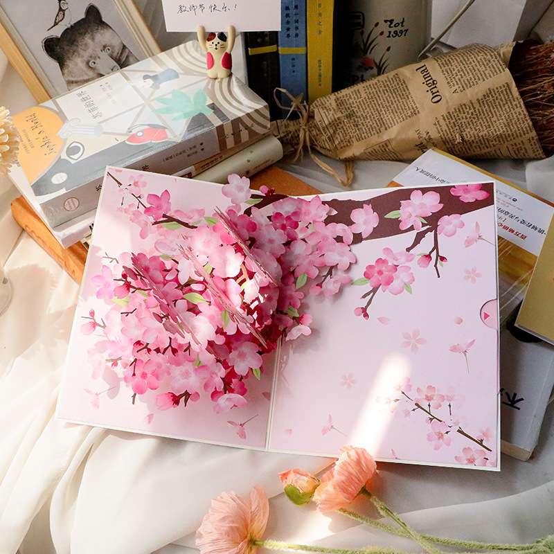 Cymbidium Orchideen Pop-up-Gru – Orchid Phalaenopsis Bewertung und Preis