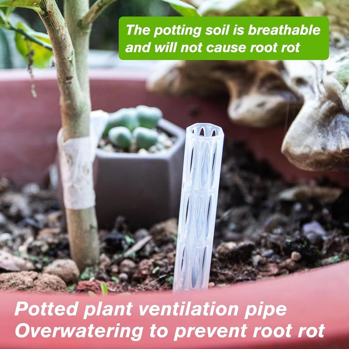 10/20 Stück Drainagerohre zur  – Plant Parenting Bewertung und Preis