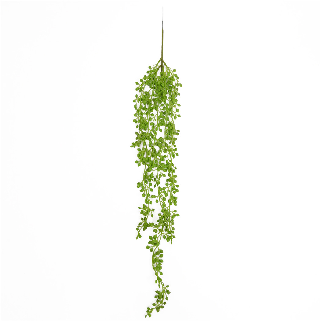 Künstliche Pflanzenreben, Wand – String Of Pearls Plant Bewertung und Preis