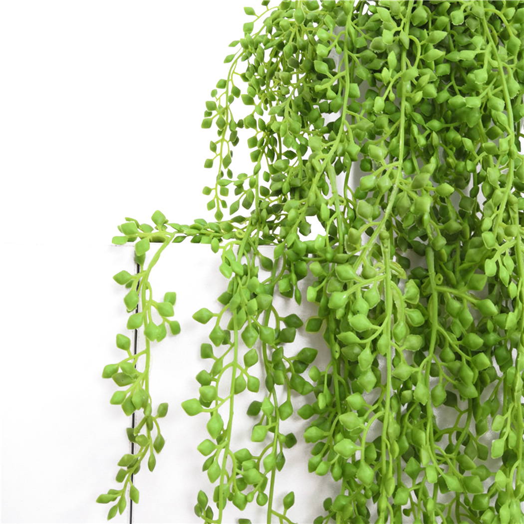 Künstliche Pflanzenreben, Wand – String Of Pearls Plant Bewertung und Preis