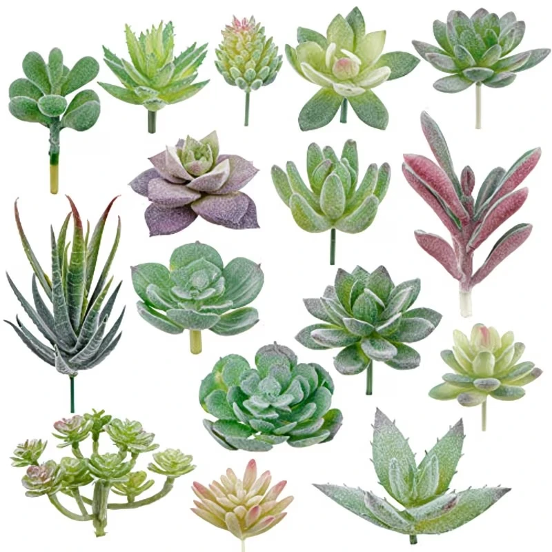 10/20 Stück PVC-Sukkulenten, g – String Of Pearls Plant Bewertung und Preis