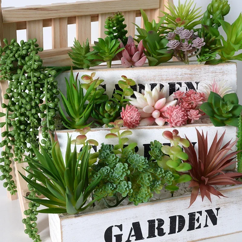 10/20 Stück PVC-Sukkulenten, g – String Of Pearls Plant Bewertung und Preis